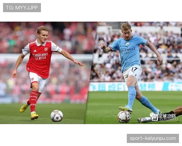 厄德高评价两极分化的核心原因：技术风格与战术适配性的深层矛盾