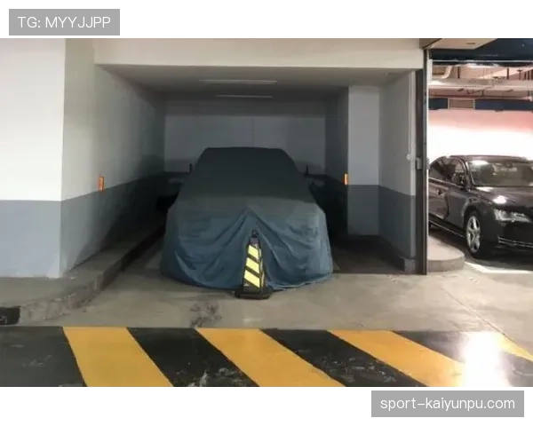 特雷·杨家的车库比我的出租屋还大